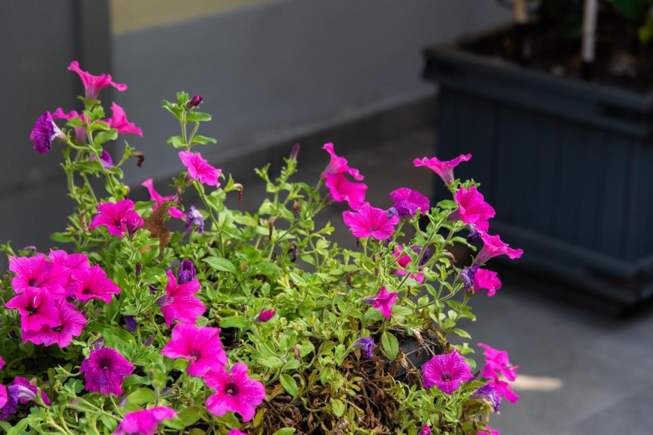 La Fonderia Firenze Bed & Breakfast Екстериор снимка